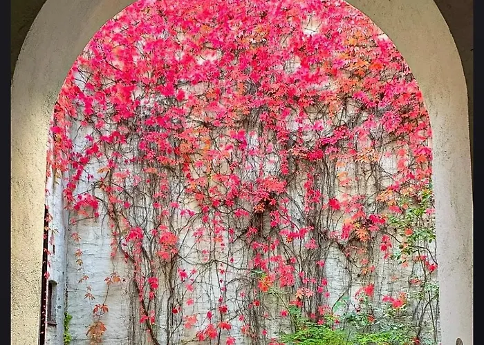 Beautiful, Classic And In * Oslo